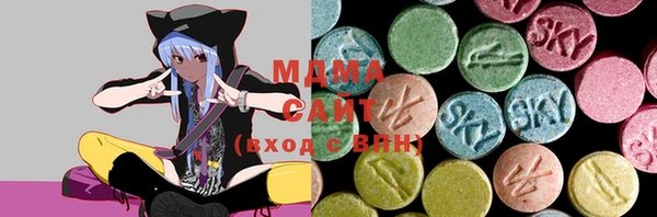 крисы Каменка