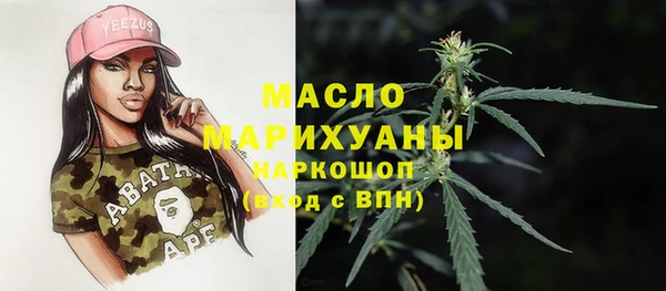 МДПВ Каменногорск