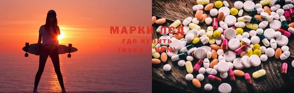 крисы Каменка