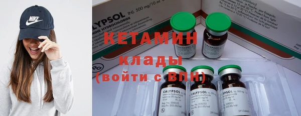 крисы Каменка
