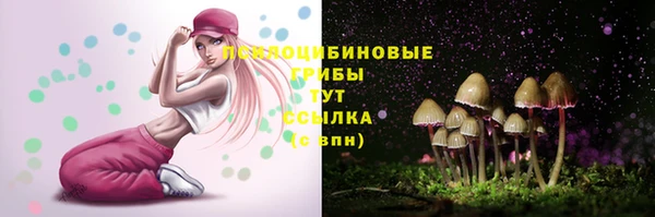 крисы Каменка