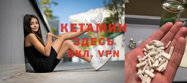крисы Каменка