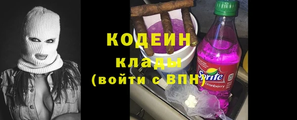 МДПВ Каменногорск