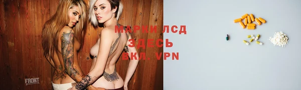 крисы Каменка