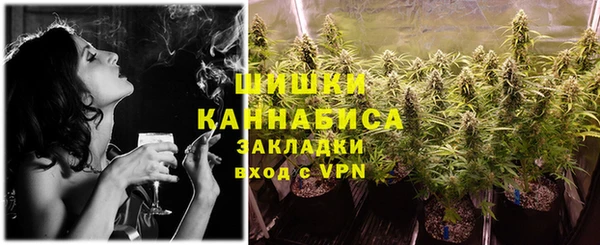 МДПВ Каменногорск