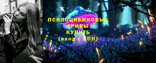 МДПВ Каменногорск