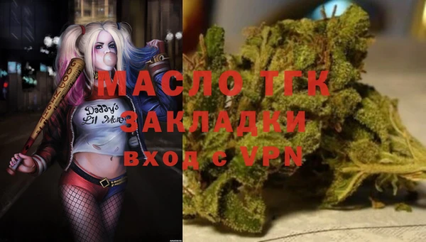 МДПВ Каменногорск