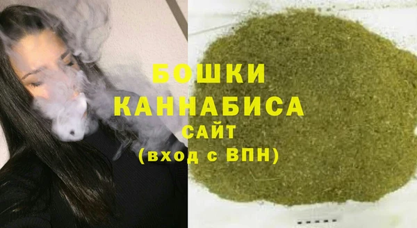 крисы Каменка