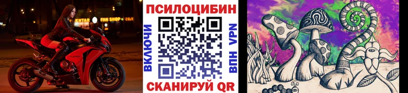 Купить где  Бокситогорск  Галлюциногенные грибы мухоморы 